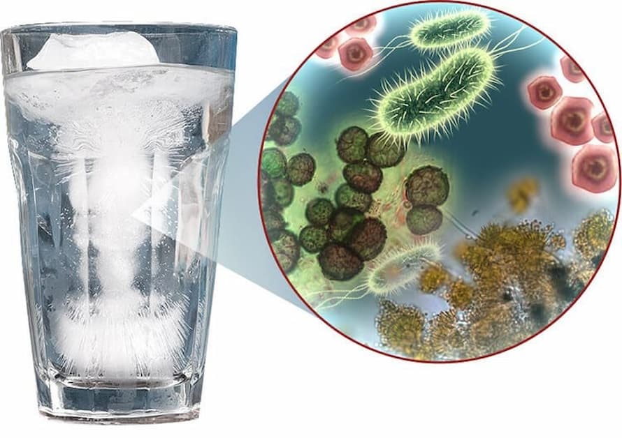 Coliform là một loại vi khuẩn có hại cho sức khỏe và xuất hiện nhiều trong nước sinh hoạt ngày nay
