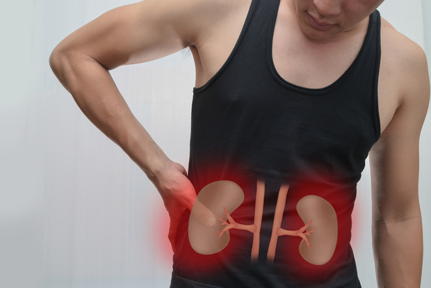 Thận là cơ quan quan trọng giúp bài tiết chất độc trong cơ thể, tuy nhiên khi cơ thể thiếu nước sẽ thận sẽ không thực hiên được chức năng thải độc tố ra ngoài, các chất độc hại tích tụ trong cơ thể của chúng ta ngày này qua ngày khác, gây ra tác hại cho sức khỏe nghiêm trọng.