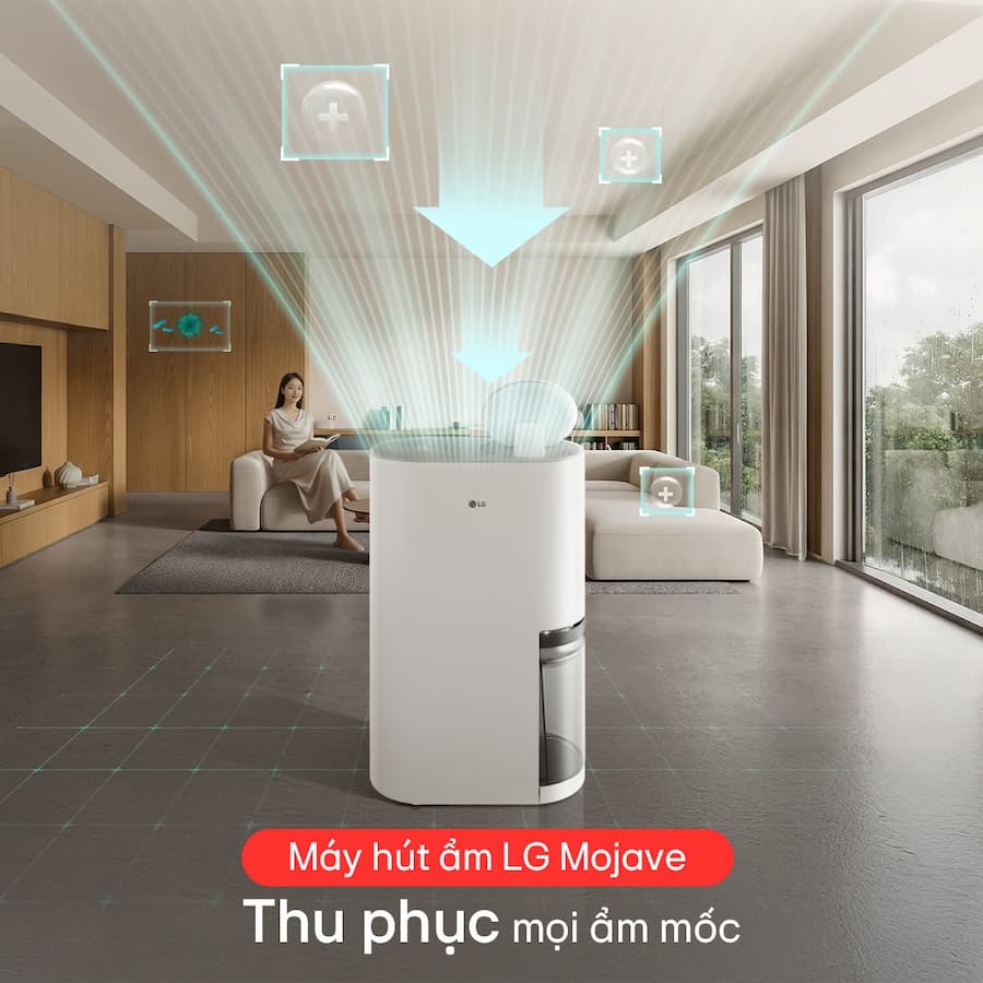 Đối Tượng Phù Hợp Nào Nên Mua Máy Hút Ẩm LG Mojave DD23GMWE1 và DD20GMWE1?