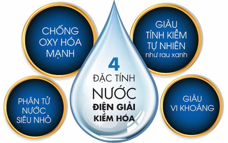 Rủi ro và hạn chế