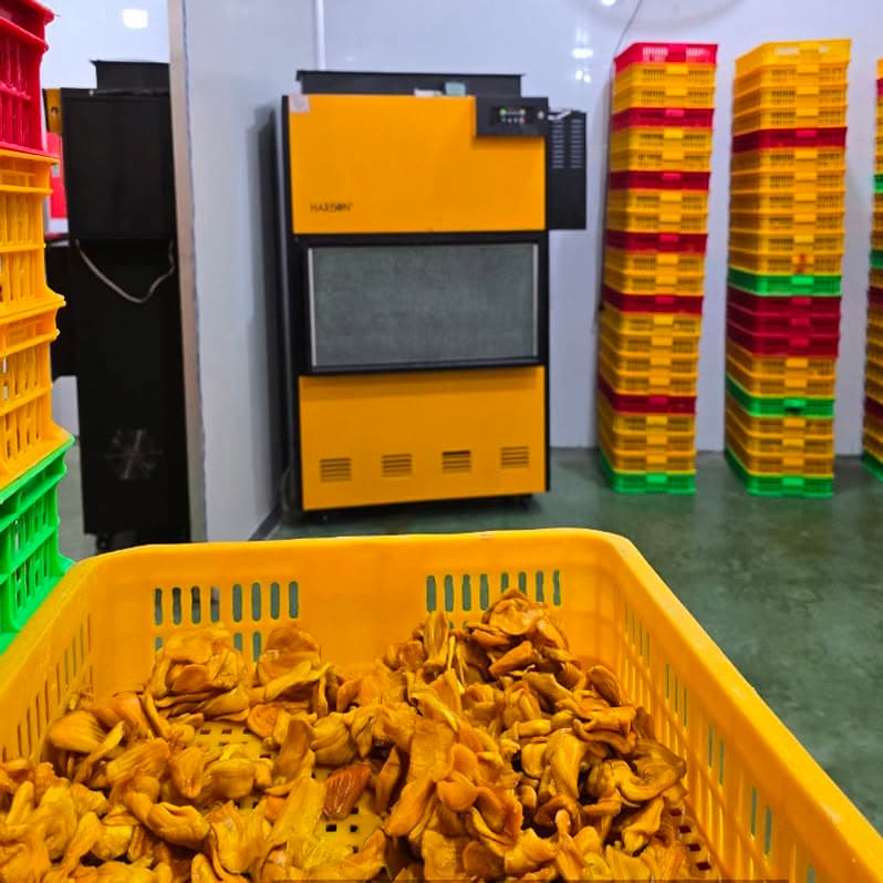 Phương Pháp Luận Và Tiêu Chí Lựa Chọn Hệ Thống Hút Ẩm Công Nghiệp