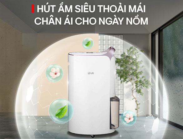 Máy hút ẩm dân dụng công nghiệp